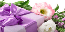 Flowers & Gifts